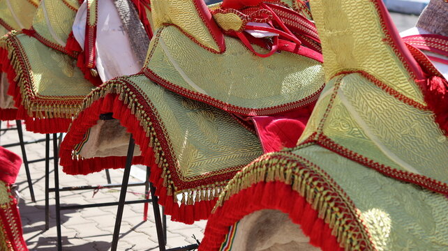 Tradition on Horseback - The Richness of Tbourida Fashion