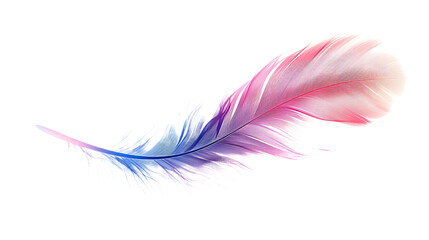 A feather in pastel colors of blue and pink on  isolated on a white background