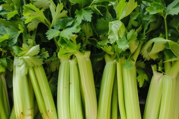 Obraz premium Fresh green celery with water droplets