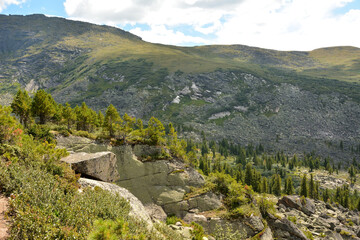 Stony stone ledges with young pine trees on the tops against the backdrop of a gentle high mountain on a sunny summer day.