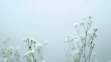 Minimalist photography background