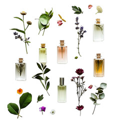 perfume samples on white background