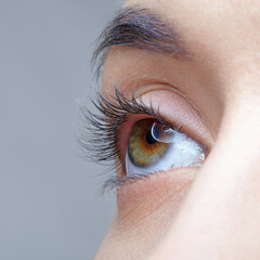 Closeup macro shot of human female eye. Woman with nude makeup of eyes or no makeup.
