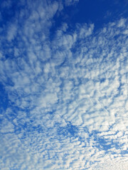 White heap clouds in the blue sky, Cloud Background, Wallpaper  Sky in Morning