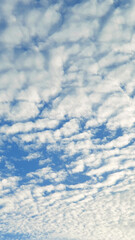 White heap clouds in the blue sky, Cloud Background, Wallpaper  Sky in Morning