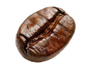 coffee bean isolated