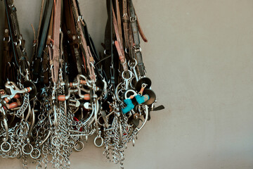 horse accesories
