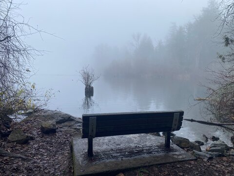 bench in the fog