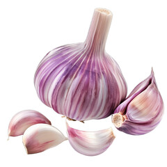 purple garlic bulb and garlic cloves on white background