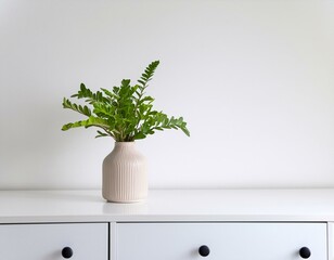 plant in a pot, a modern vase and interior plant pot on sleek white furniture against a clean white background
