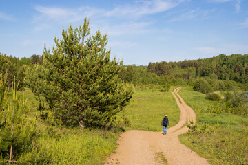 A woman walks along a country road. Back view of a tourist with a backpack walking along a dirt road through a meadow towards the forest. Traveling, hiking, eco-tourism in rural areas. Summer. - 795971518