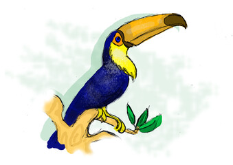 toucan in the jungle toucan three brazilian Bird