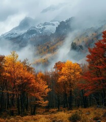b'Colorful autumn forest landscape with mountains in the background'