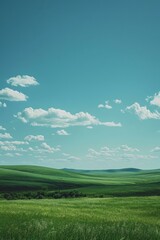 Fototapeta premium b'Grasslands under the blue sky'