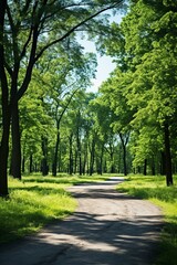 Obraz premium b'The sun shines through the forest'