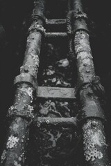 b'rusty metal ladder in a dark place'