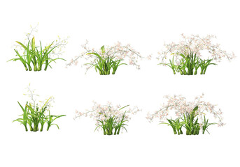 3D render various types of flowers and ivy on transparent background.
