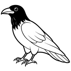 illustration of a bird