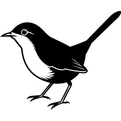 Obraz premium bird on a branch