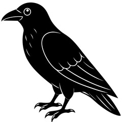Fototapeta premium crow on a white background