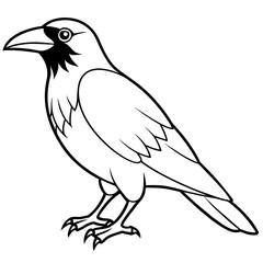 illustration of a bird