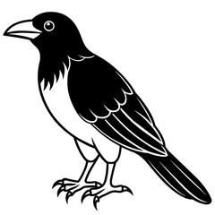 crow on a branch