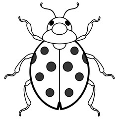 illustration of a ladybug