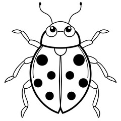 illustration of a ladybug