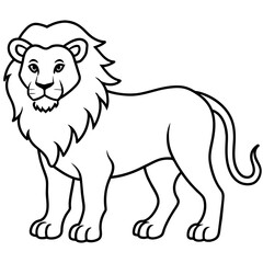 lion illustration