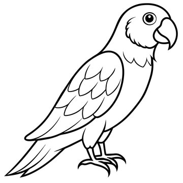 parrot