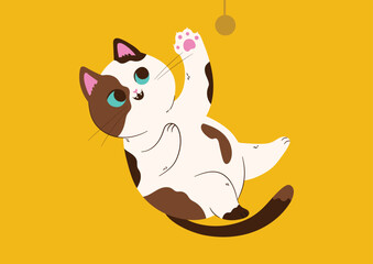 White cat Charming cat playing happily. Yellow background. Cat lying belly up