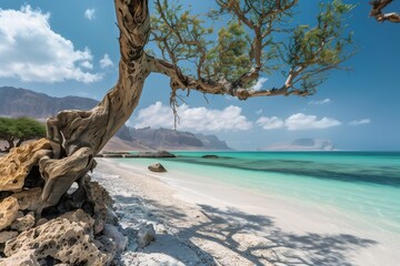 Fototapeta na wymiar Socotra Island