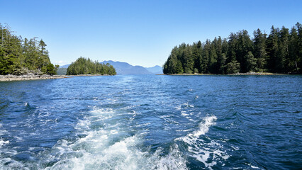Turbulent white water created by a motor boat wake travelling on the ocean with a view of distant tree covered islands.