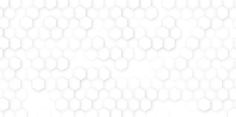 Vector banner design, white background with hexagon pattern. Abstract white hexagon background for backdrop, web, banner, Vector illustration