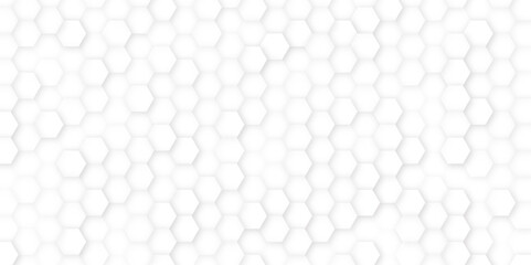 Abstract White Hexagon Background for Backdrop, Web, Banner, Vector illustration