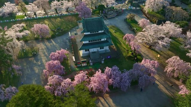 aerial view of samurai Japanese castle in spring with cherry trees in bloom, drone view of iconic Hirosaki castle in Japan