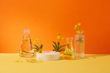 Front view of fresh calendula flowers with glassware decorated on orange background. Platform for...