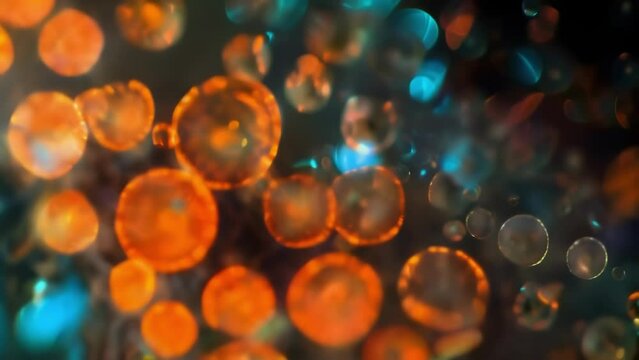 In a darkfield microscopy image euglenoids appear as shimmering translucent bodies showcasing their beauty and diversity. . AI generation.