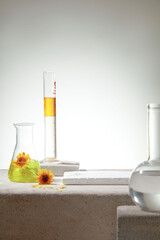 Front view of lab glassware containing calendula flower and transparent liquid display on gray...