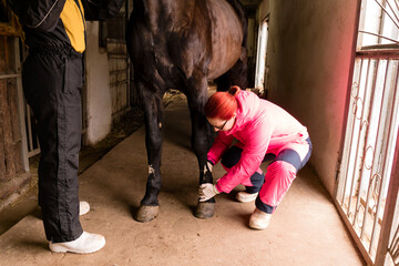 Veterinarian checking black horse's hoof