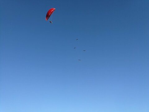 Voo de paraglider vermelho com p&aacute;ssaros no c&eacute;u azul