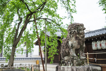 A guardian dog at a Japanese shrine