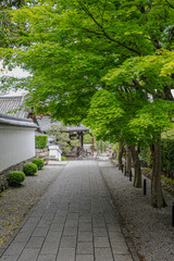Cobblestone streets unique to Japan