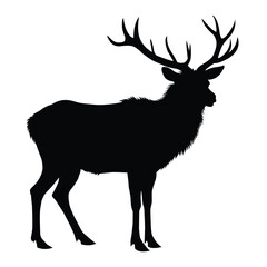 silhouette of American elk on white