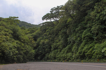 Road in the mountains of Braulio Carrillo, Costa Rica