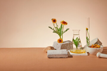 Minimal background for cosmetics of calendula extract presentation. Fresh flowers, gray blocks of...