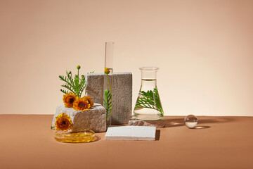 Fresh calendula flowers decorated with gray blocks of bricks and glassware on brown backlit...