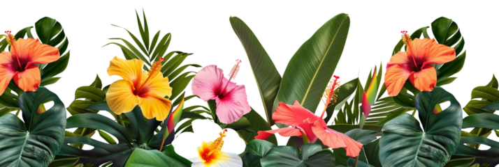 Tropical flower beds, vibrant with exotic blooms like hibiscus and bird of paradise, complemented by broad leaves, isolated on transparent background