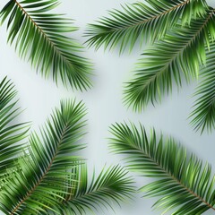 3d transparent palm leaves, hyperquality, vector 