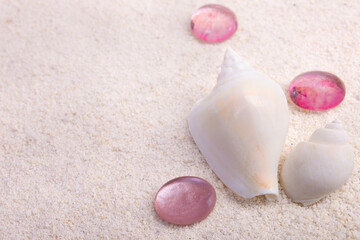Border with seashells and red glass pebbles on white sand.